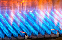 Pren Gwyn gas fired boilers
